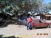 Sucupira_2015-07-31_024
