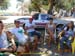 Sucupira_2015-07-31_028