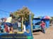 Sucupira_2015-08-02_102